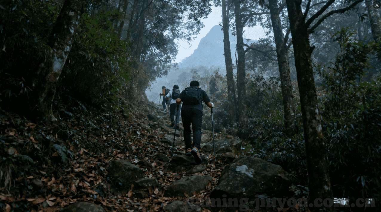 篮球世界杯剪网-篮球世界杯剪网,技艺与激情的碰撞